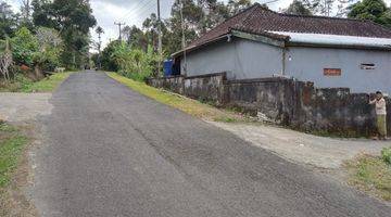 Gambar 2 Dijual Tanah 188 Are View Lembah Pelaga Petang Badung