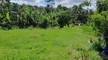 Gambar 4 Dijual Tanah Luas 20 Are Keliki Ubud