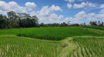 Gambar 1 Dijual Tanah Luas 20 Are Keliki Ubud