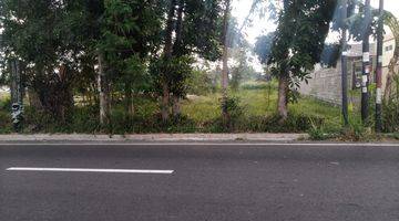 Gambar 4 Tanah di Jl. Pendowoharjo, Sleman SHM 1.028 m² 