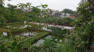 Gambar 1 Tanah Daerah Cilodong Lokasi Dekat Jalan Besar