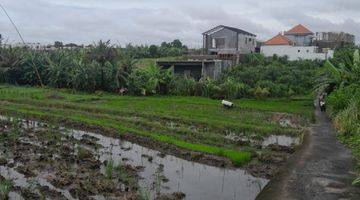 Gambar 1 Pererenan Dijual Tanah 4 Are View Sawah Siap Bangun 