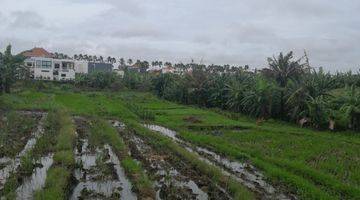 Gambar 4 Pererenan Dijual Tanah 4 Are View Sawah Siap Bangun 