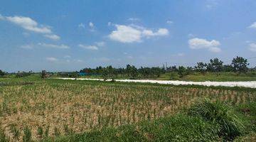 Gambar 3 Riverside Land For Lease Or Rent 35 Are In Kedungu