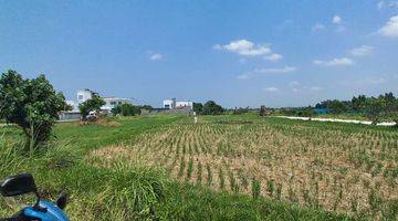 Gambar 4 Riverside Land For Lease Or Rent 35 Are In Kedungu