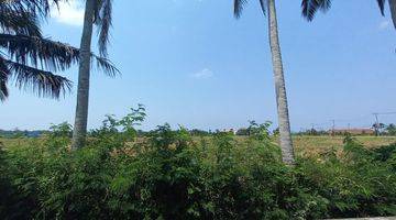 Gambar 2 Land Sale Freehold Walking Distance To The Beach In Kedungu