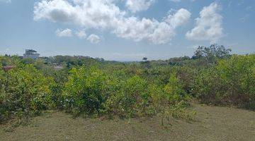 Gambar 1 Hill S Land For Leasehold With Ocean View Gwk Statue Kutuh Jimbaran 