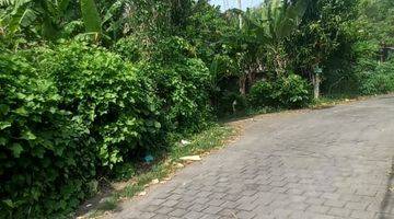 Gambar 5 Land For Sale Freehold In Kelating Beach