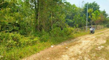 Gambar 1 6800m².shm Untuk Kebun Dan Peternakan Kec.jasinga-Bogor