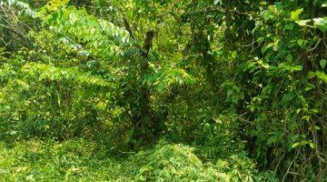 Gambar 4 6,2Ha.SHM UNTUK KEBUN DAN PETERNAKAN KEC.JASINGA-BOGOR