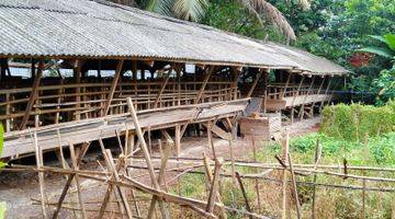 Gambar 3 8.820m² Ternak Kambing Dan Kolam Ikan Di Jual Kec.jasinga-Bogor