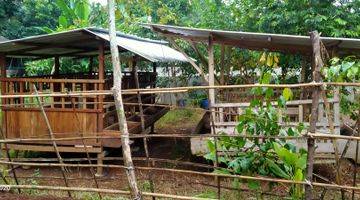 Gambar 4 8.820m² Ternak Kambing Dan Kolam Ikan Di Jual Kec.jasinga-Bogor