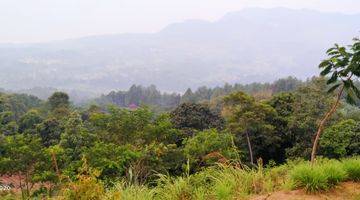 Gambar 3 8000m² VILA KEBUN DURIAN DI KEC.NANGGUNG-BOGOR BARAT