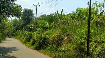 Gambar 4 3779m².SHM BUAT KEBUN, GUDANG DAN KIOS Kec.Jasinga-Bogor Barat