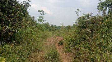 Gambar 1 6,2Ha.SHM UNTUK KEBUN DAN PETERNAKAN KEC.JASINGA-BOGOR