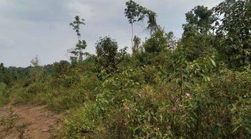 Gambar 2 6,2Ha.SHM UNTUK KEBUN DAN PETERNAKAN KEC.JASINGA-BOGOR