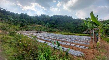 Gambar 2 2ha Untuk Beternak Ayam Dan Kebun Kec.sukajaya-Bogor Barat