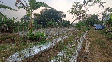 Gambar 3 5000m².shm Tanah Di Titik Pemekaran Bogor Barat Kec.cigudeg