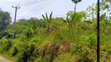 Gambar 5 3779m².SHM BUAT KEBUN, GUDANG DAN KIOS Kec.Jasinga-Bogor Barat