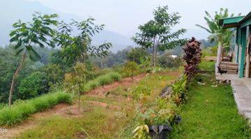 Gambar 2 8000m² VILA KEBUN DURIAN DI KEC.NANGGUNG-BOGOR BARAT