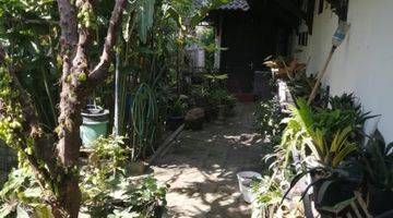 Gambar 4 Dijual Rumah Joglo Hitung Tanah Di MERR Nol Jalan Pinggir Jalan Utama (HEN.B463) 