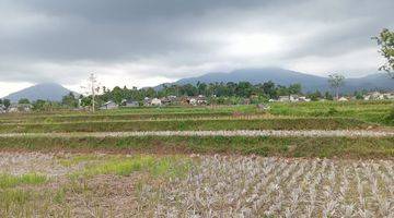 Gambar 3 Di Jual Lahan Sawah Surat Shm Luas 2 Ha Haega 350rn