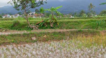 Gambar 4 Di Jual Lahan Sawah Surat Shm Luas 2 Ha Haega 350rn