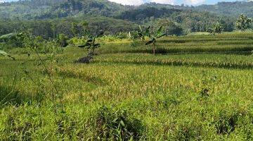 Gambar 1 Lokasi cocok untuk buka usaha cafe resto vila penginapan lokasi sebelum Ki Demang 