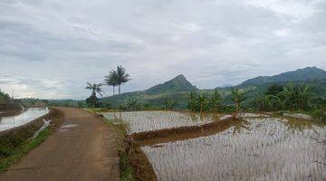 Gambar 2 Di Jual Tanah Sawah Surat Shm Harga 250rb/m Nego