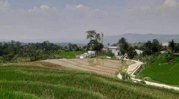 Gambar 1 Lahan Bagus View Bagus Udara Dingin Hrg 400rb/m Shm 