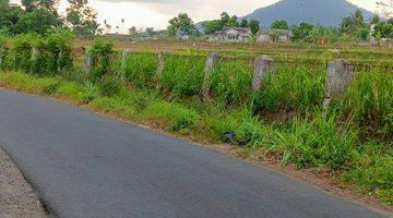 Gambar 1 Di Jual Lahan Sawah Surat Shm Luas 2 Ha Haega 350rn