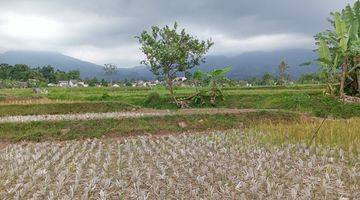 Gambar 2 Di Jual Lahan Sawah Surat Shm Luas 2 Ha Haega 350rn