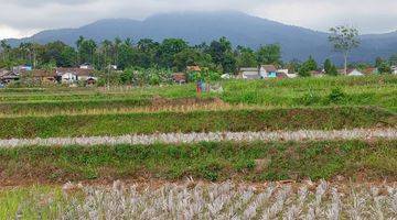 Gambar 5 Di Jual Lahan Sawah Surat Shm Luas 2 Ha Haega 350rn