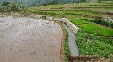 Gambar 1 Di Jual Tanah Sawah Surat Shm Harga 250rb/m Nego