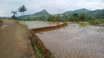 Gambar 3 Di Jual Tanah Sawah Surat Shm Harga 250rb/m Nego