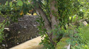 Gambar 2 Di Jual Tanah Canggu