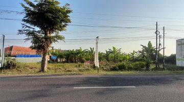 Gambar 3 Dijual Cepat Tanah Mainroad Jl Cibogo Subang 