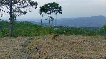 Gambar 5 Dijual Kavling Sentul Bojong Koneng View Gng Pangrango