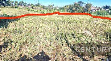 Gambar 4 Tanah Sawah Produktif Dekat Kali Irigasi Di Hegarmanah Jatinangor