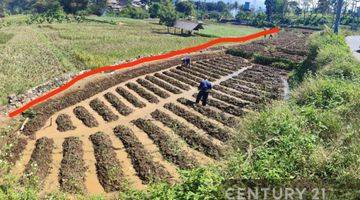 Gambar 2 Tanah Sawah Produktif Dekat Kali Irigasi Di Hegarmanah Jatinangor