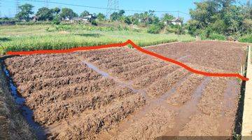 Gambar 3 Tanah Sawah Produktif Dekat Kali Irigasi Di Hegarmanah Jatinangor