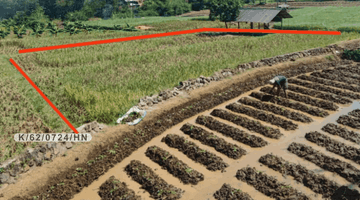 Gambar 1 Tanah Sawah Produktif Dekat Kali Irigasi Di Hegarmanah Jatinangor