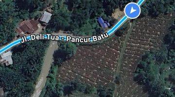 Gambar 5 Tanah 7 hectare di pinggir jalan besar dekat sungai