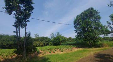 Gambar 1 Kawasan Rumah Kebun Parung Hijau 2 Tajur Halang, 3 Km Dari Jl Parung Bogor, Dekat Rencana Tol Parung Cibinong