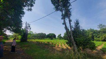 Gambar 3 Kawasan Rumah Kebun Parung Hijau 2 Tajur Halang, 3 Km Dari Jl Parung Bogor, Dekat Rencana Tol Parung Cibinong