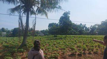 Gambar 1 Kawasan Rumah Kebun Parung Hijau 2 Tajur Halang, 3 Km Dari Jl Parung Bogor, Dekat Rencana Tol Parung Cibinong