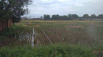 Gambar 2 Tanaha Sawah Kadipaten Cibeber Jalan Utama