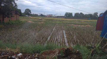 Gambar 4 Tanaha Sawah Kadipaten Cibeber Jalan Utama