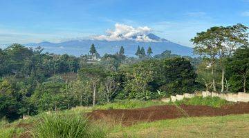 Gambar 2 Tanah View Pegunungan Bisa Ambil 500/1000 Meter, Puncak Bogor