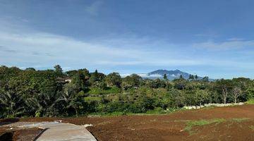 Gambar 3 Tanah Shm 3000m2  Mountain View Puncak Bogor